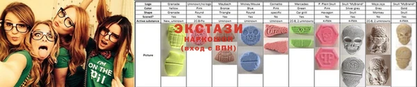 индика Богданович