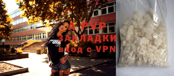 индика Богданович