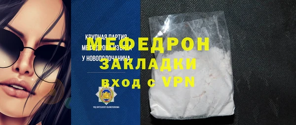 индика Богданович
