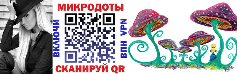 Галлюциногенные грибы Psilocybe  Купить закладки  Нарткала 
